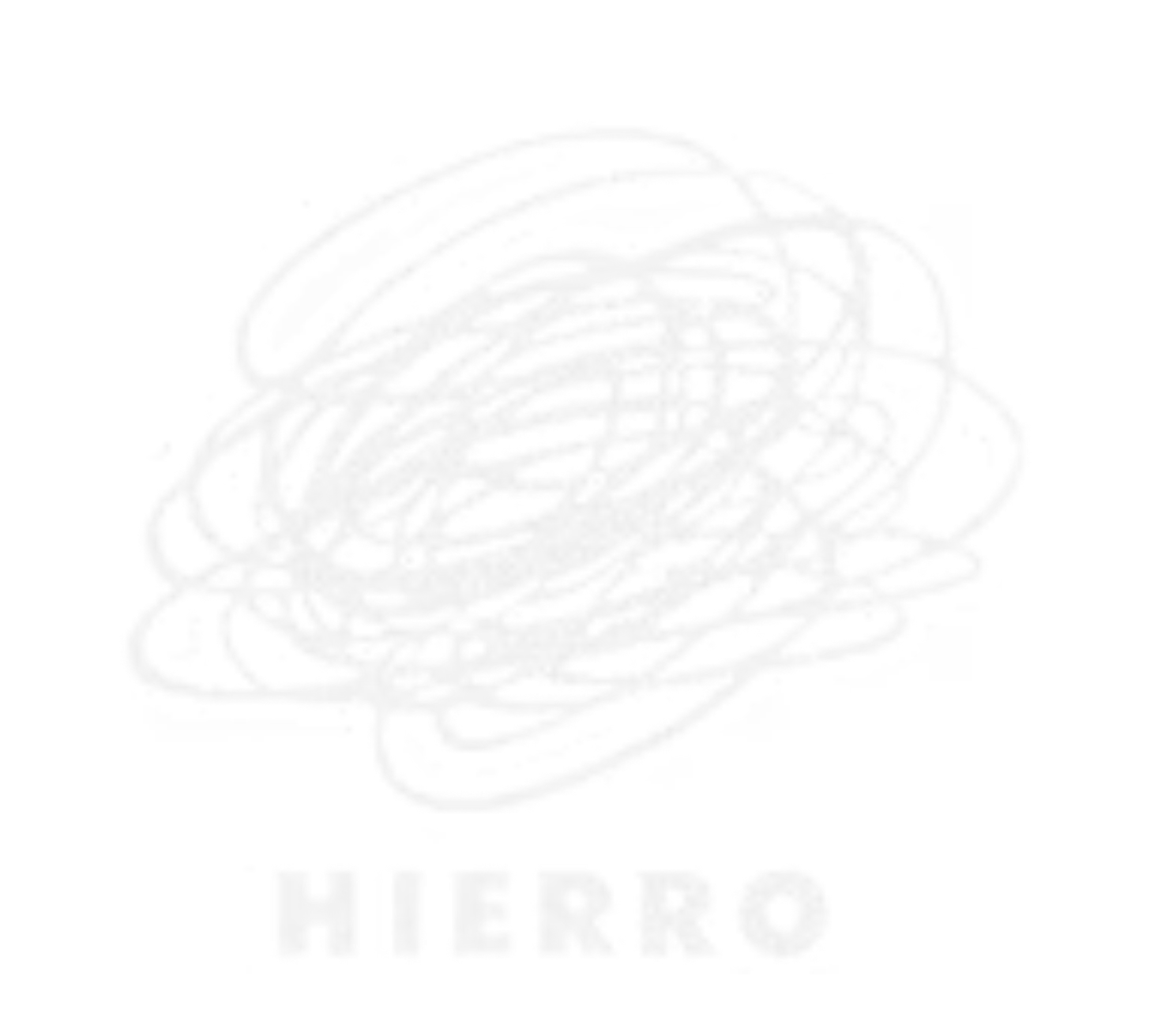 Hierro Animación